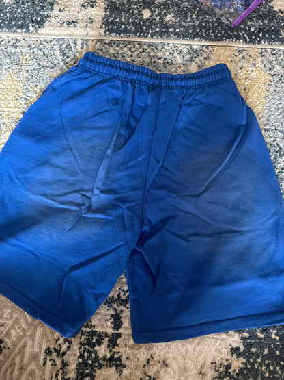 Navy blue hellstar shorts